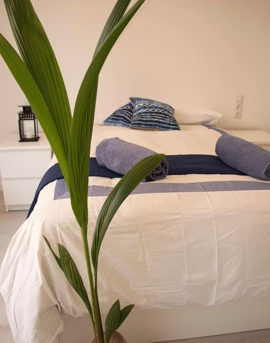 Vakantiehuis Triana_villa In With Private Pool - Etv/10914 *